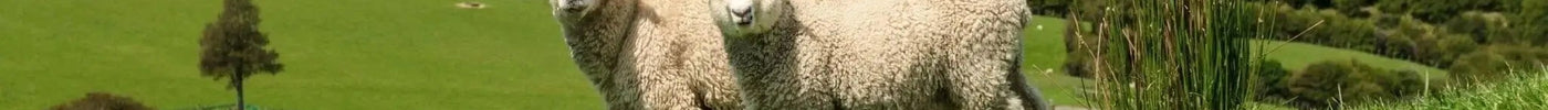 Varför välja Faarskinn.se? Faarskinn.se
