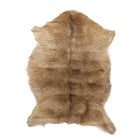 Getskinn | Kort lugg | 90x60 cm Naturligt ljus