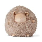 Cute Sheep | Kort lugg | Nya Zeeland Ø26 Ljusbrun