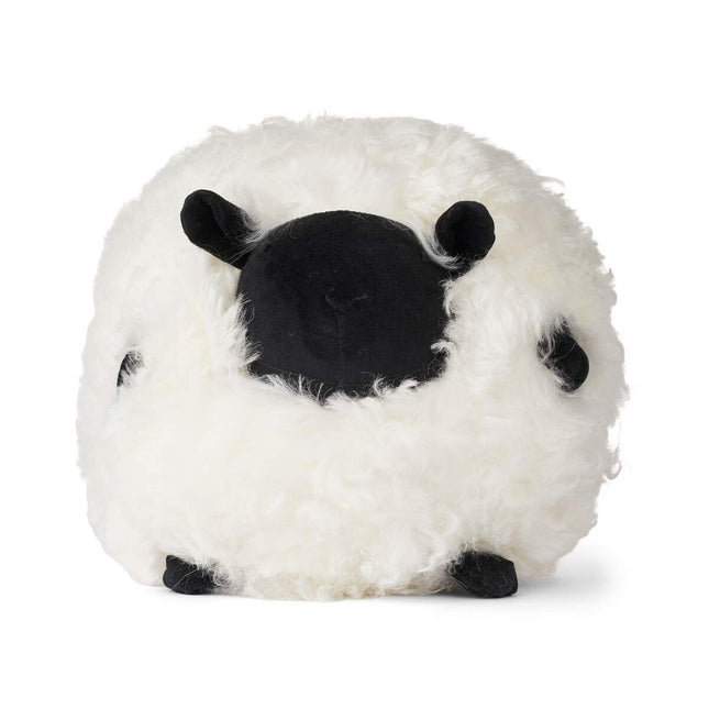 Cute Sheep | Kort lugg | Nya Zeeland | D28 cm