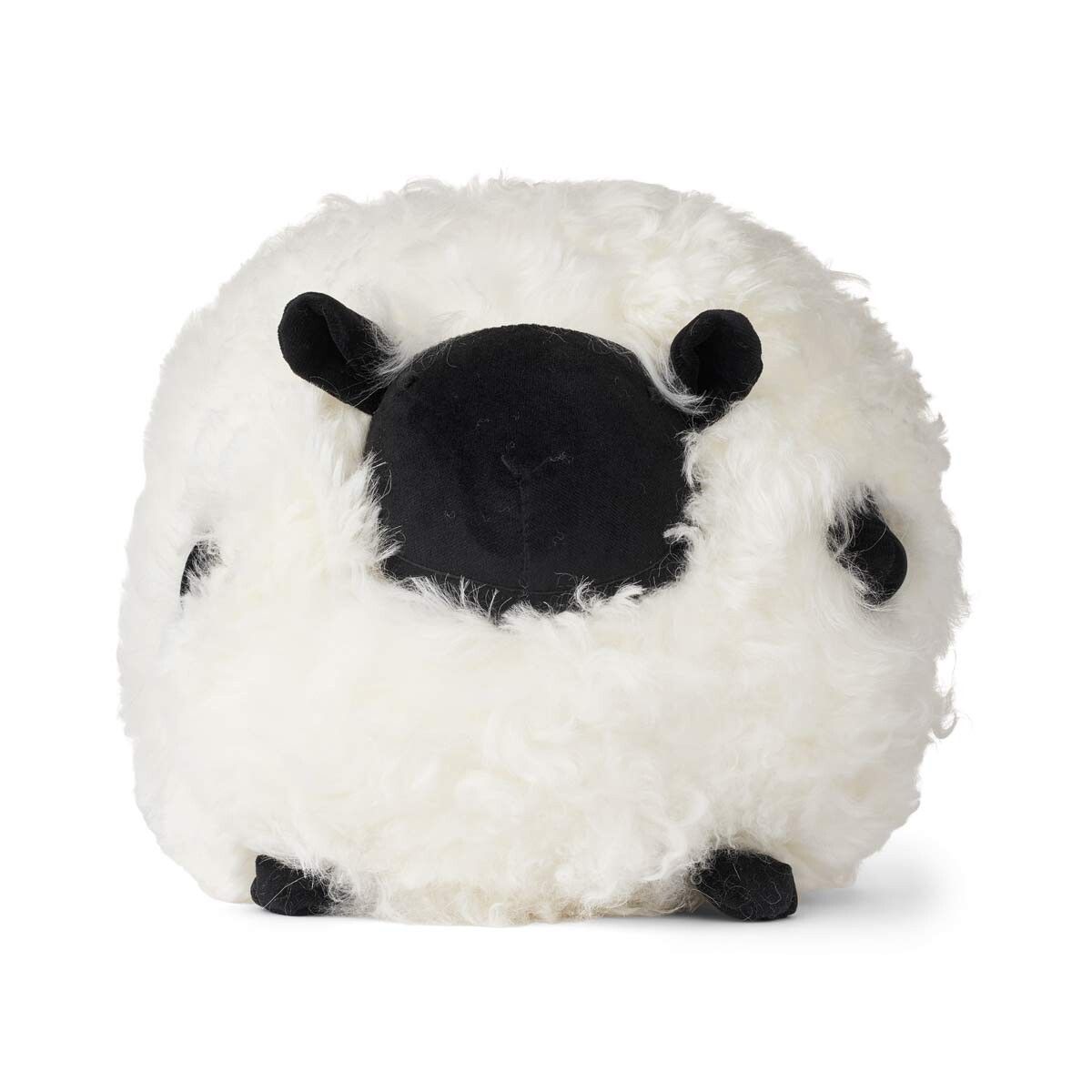 Cute Sheep | Kort lugg | Nya Zeeland | D28 cm