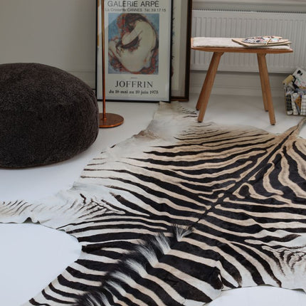 Zebraskinn