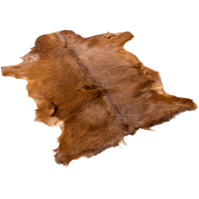 Getskinn | Kort lugg | 90x60 cm