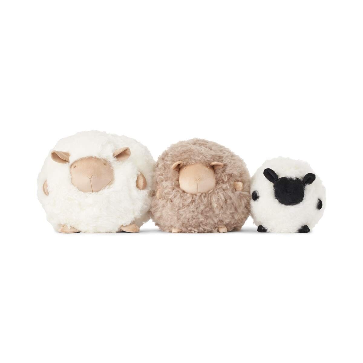 Cute Sheep | Kort lugg | Nya Zeeland | D28 cm Beige / Vit