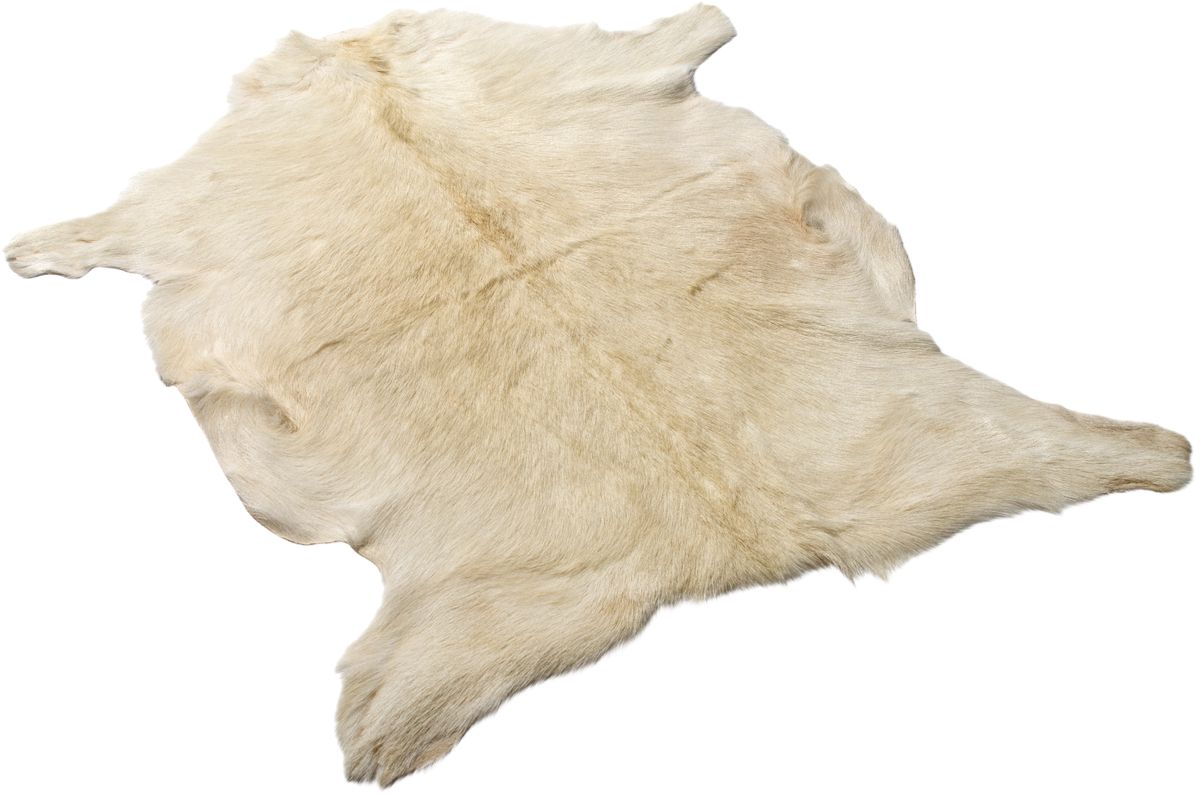 Getskinn | Kort lugg | 90x60 cm Vit