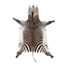 Zebraskinn
