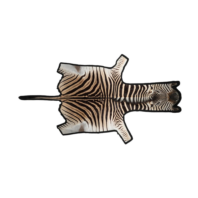 Zebraskinn | Premiumkvalitet | Sydafrika