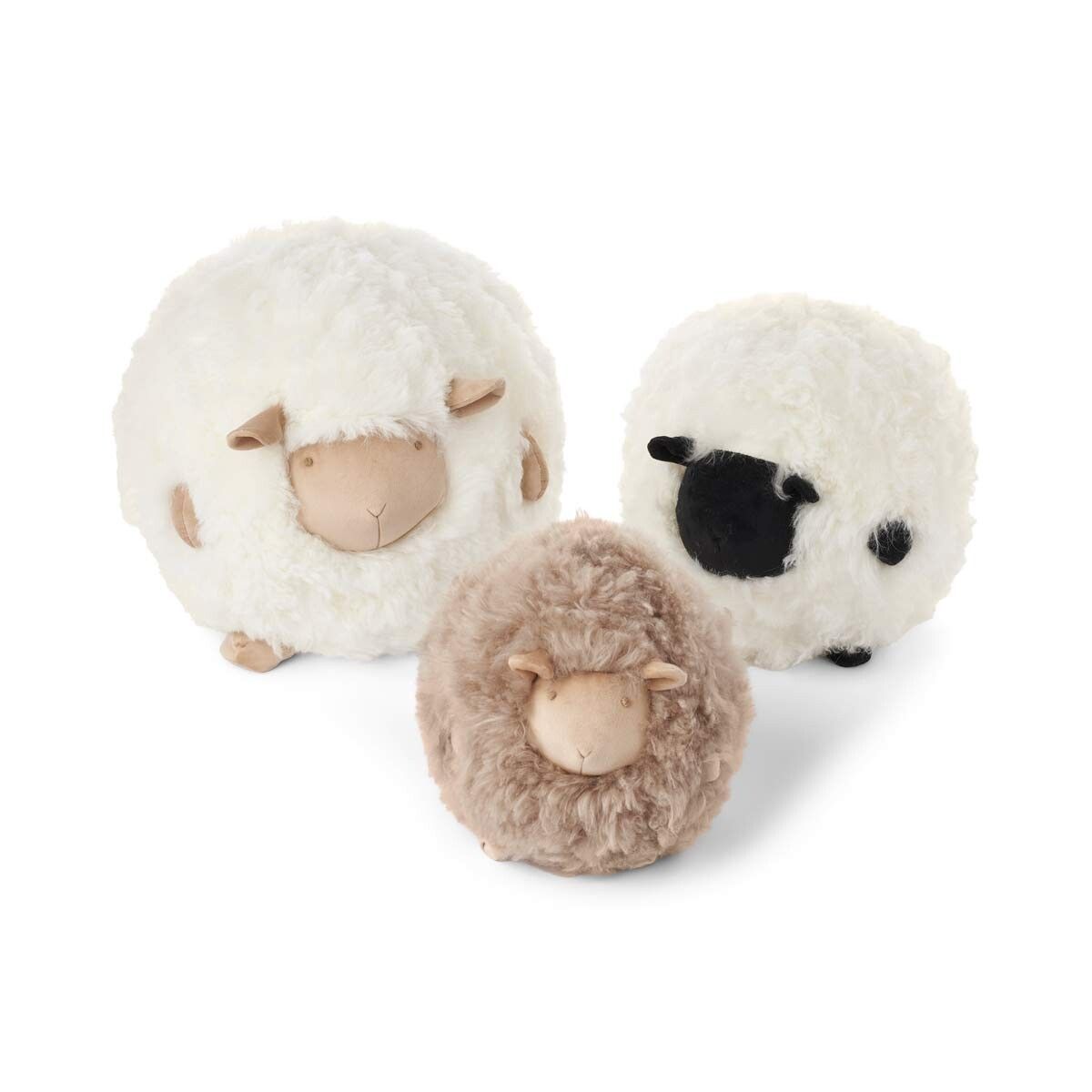 Cute Sheep | Kort lugg | Nya Zeeland Ø26