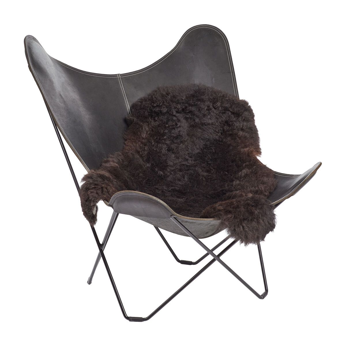 Fårskinn Premium | Ekologiskt | Kort lugg | 90-100x60 cm Natur Svart