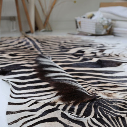 Zebraskinn Zebra