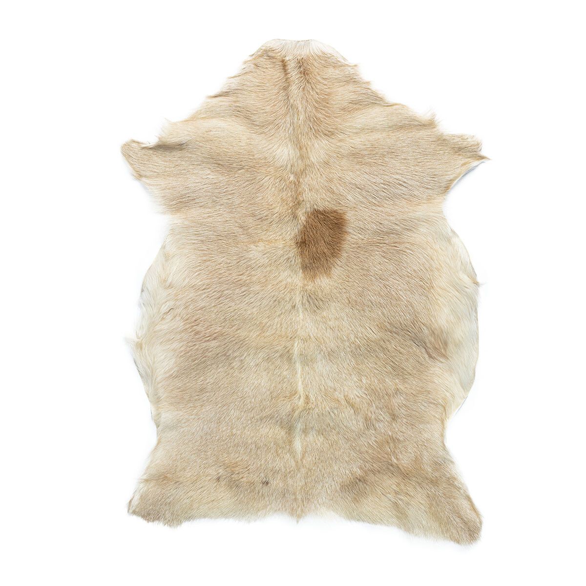 Getskinn | Kort lugg | 90x60 cm Naturligt ljus