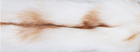 Filt | Kashmir & rävpäls | 130x200 cm Sun Glow Räv / Beige