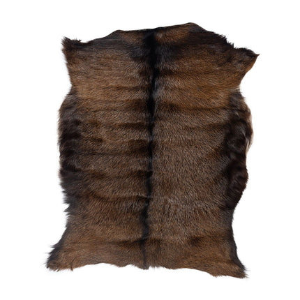 Getskinn | Kort lugg | 90x60 cm Svart / Brun