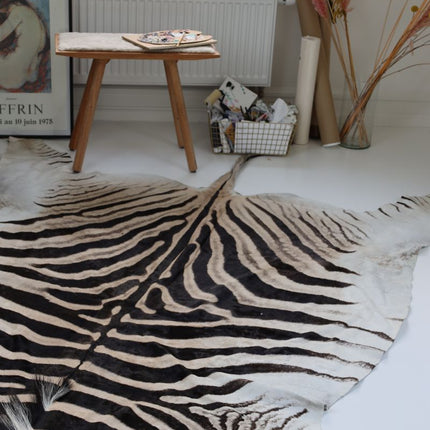 Zebraskinn Zebra