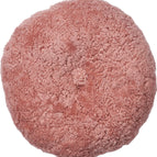 Korallrosa