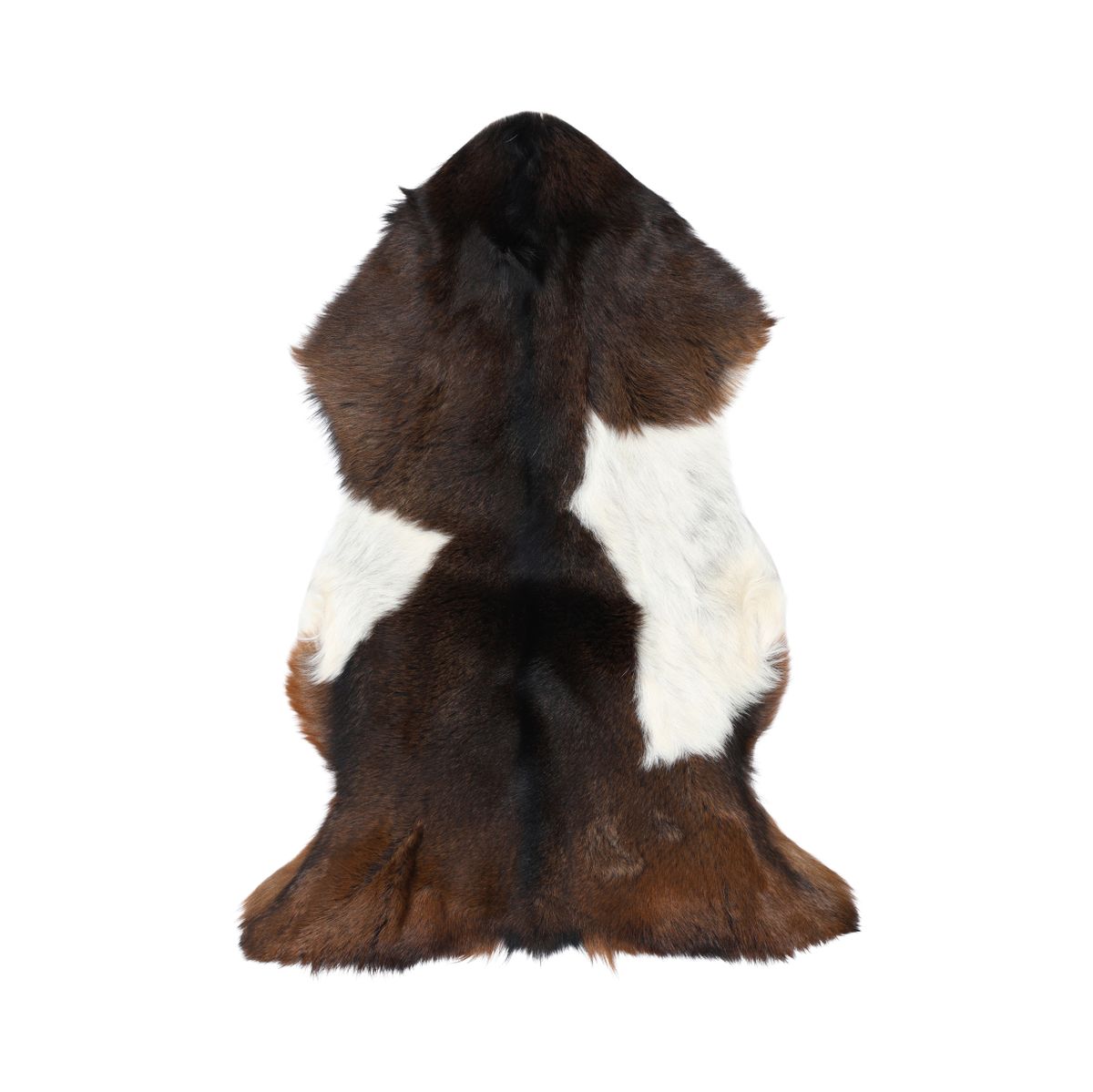 Getskinn | Kort lugg | 90x60 cm Brun / Vit